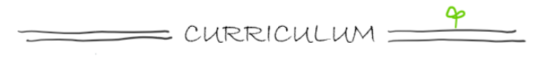 カリキュラム